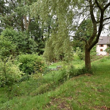 Serendipity Bed&Breakfast Saint-Die-des-Vosges Exteriör bild