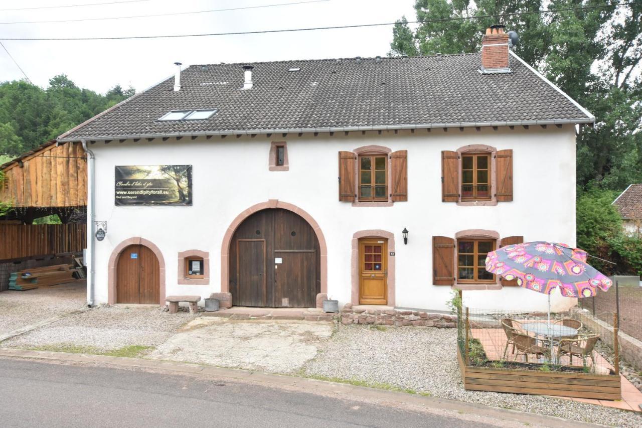 Serendipity Bed&Breakfast Saint-Die-des-Vosges Exteriör bild