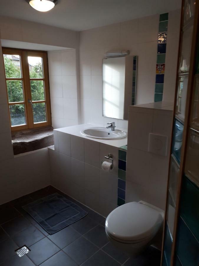 Serendipity Bed&Breakfast Saint-Die-des-Vosges Exteriör bild