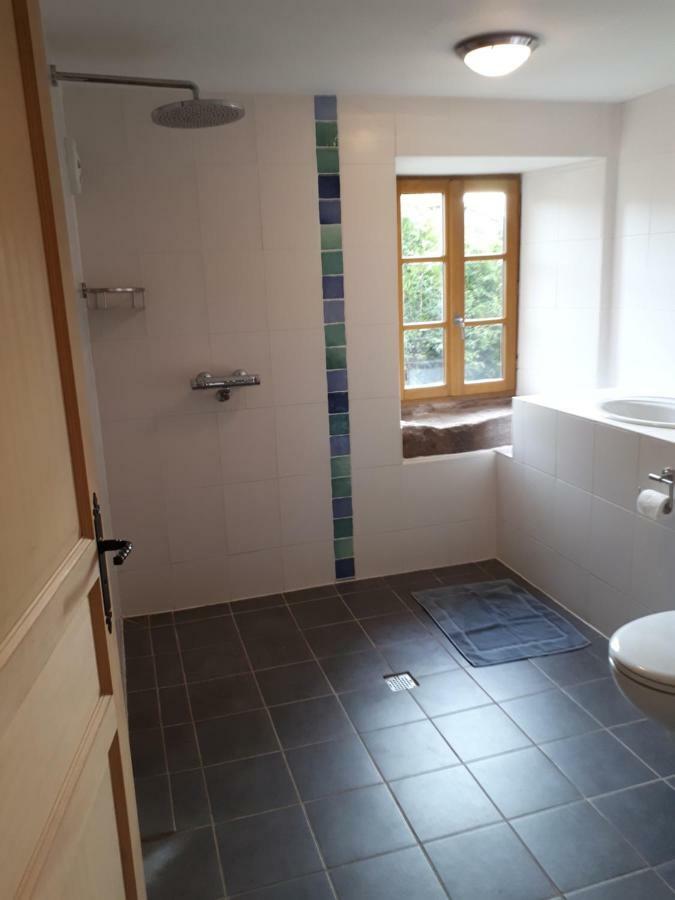 Serendipity Bed&Breakfast Saint-Die-des-Vosges Exteriör bild