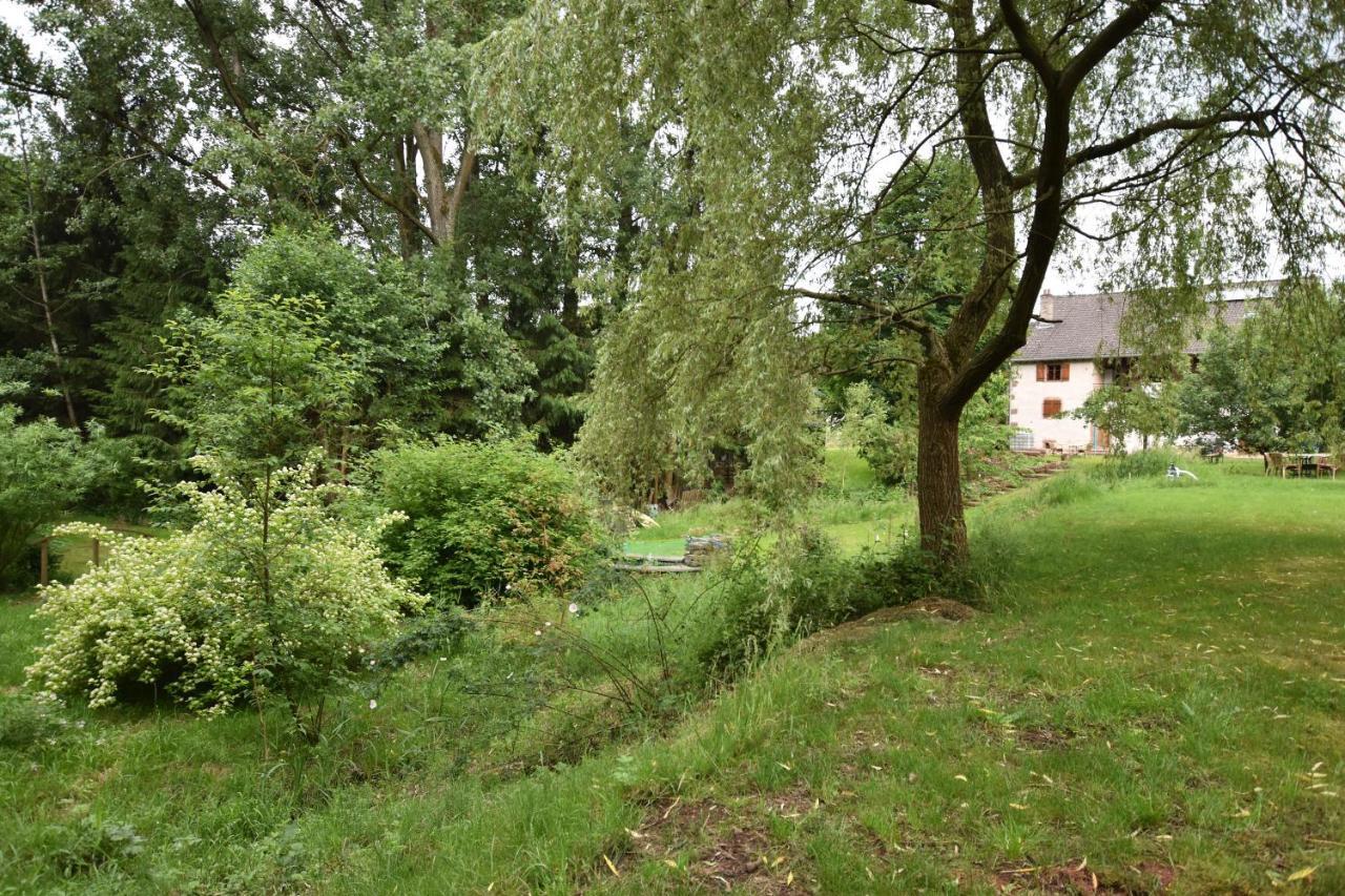 Serendipity Bed&Breakfast Saint-Die-des-Vosges Exteriör bild